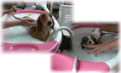 マイクロバブル入浴中の写真